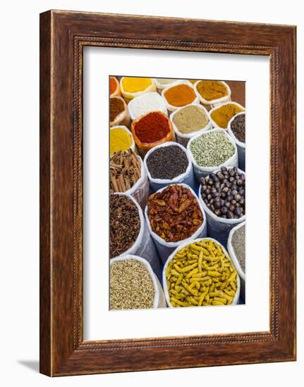 Spice Shop at the Wednesday Flea Market in Anjuna, Goa, India, Asia-Yadid Levy-Framed Photographic Print