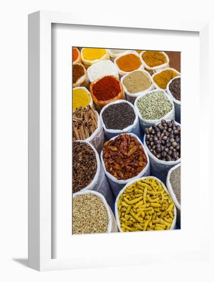 Spice Shop at the Wednesday Flea Market in Anjuna, Goa, India, Asia-Yadid Levy-Framed Photographic Print