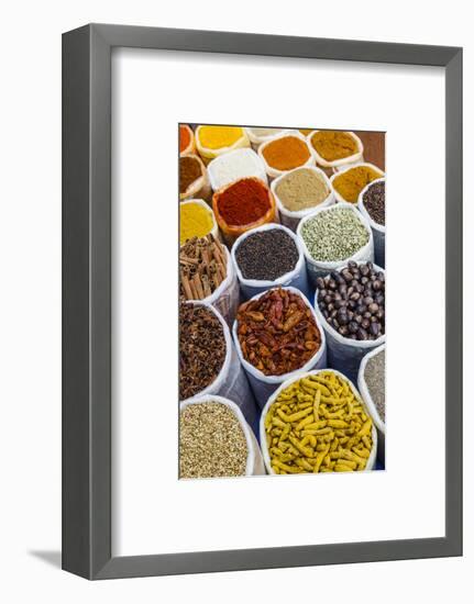 Spice Shop at the Wednesday Flea Market in Anjuna, Goa, India, Asia-Yadid Levy-Framed Photographic Print