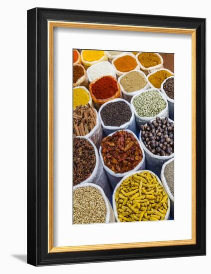 Spice Shop at the Wednesday Flea Market in Anjuna, Goa, India, Asia-Yadid Levy-Framed Photographic Print