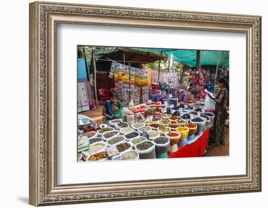 Spice Shop at the Wednesday Flea Market in Anjuna, Goa, India, Asia-Yadid Levy-Framed Photographic Print