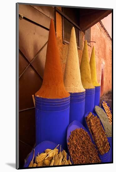 Spice Shop, Marrakech, Morocco, North Africa, Africa-Neil Farrin-Mounted Photographic Print