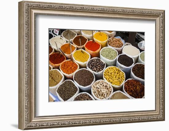 Spice Stall at Mapusa Market, Goa, India, Asia-Yadid Levy-Framed Premium Photographic Print