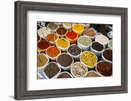 Spice Stall at Mapusa Market, Goa, India, Asia-Yadid Levy-Framed Photographic Print