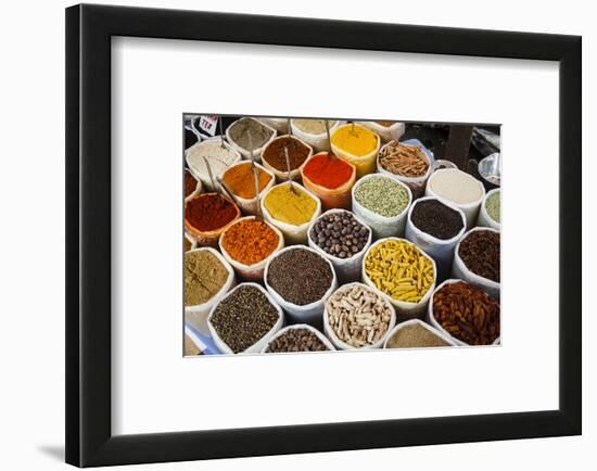 Spice Stall at Mapusa Market, Goa, India, Asia-Yadid Levy-Framed Photographic Print