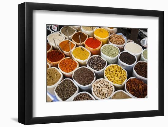 Spice Stall at Mapusa Market, Goa, India, Asia-Yadid Levy-Framed Photographic Print