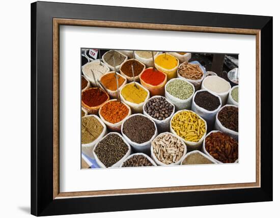 Spice Stall at Mapusa Market, Goa, India, Asia-Yadid Levy-Framed Photographic Print