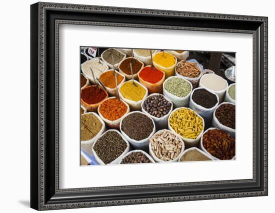 Spice Stall at Mapusa Market, Goa, India, Asia-Yadid Levy-Framed Photographic Print