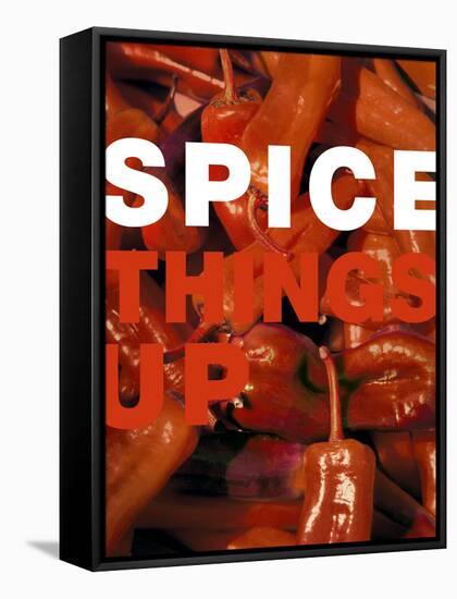 Spice Things Up-Dave Bartruff-Framed Stretched Canvas