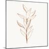 Spice Up Your Life Botanical 1-Sweet Melody Designs-Mounted Art Print