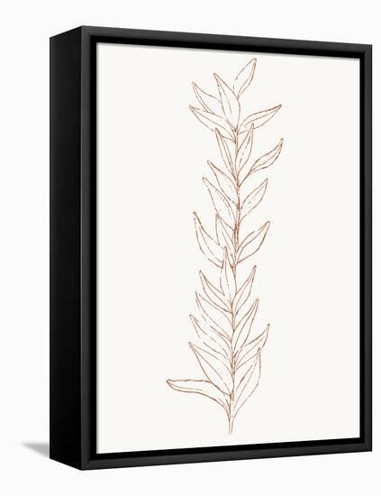 Spice Up Your Life Botanical Outline 1-Sweet Melody Designs-Framed Stretched Canvas