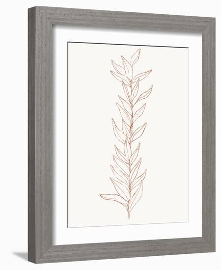 Spice Up Your Life Botanical Outline 1-Sweet Melody Designs-Framed Art Print