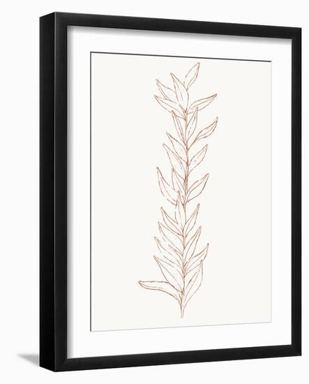 Spice Up Your Life Botanical Outline 1-Sweet Melody Designs-Framed Art Print