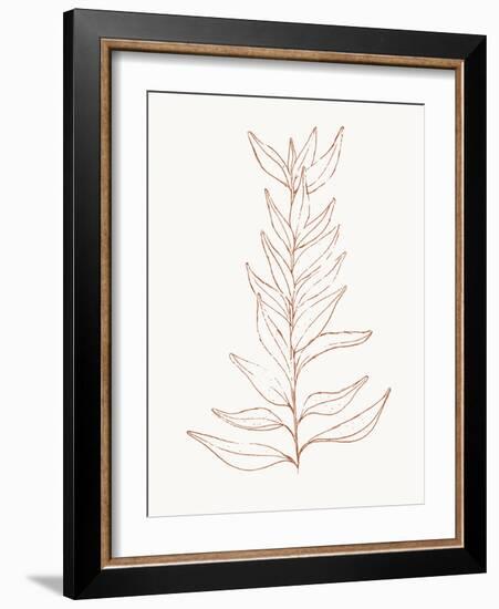 Spice Up Your Life Botanical Outline 2-Sweet Melody Designs-Framed Art Print