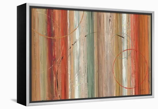 Spiced II-Lisa Audit-Framed Stretched Canvas