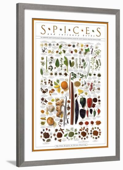 Spices and Culinary Herbs-null-Framed Art Print