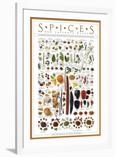 Spices and Culinary Herbs-null-Framed Art Print