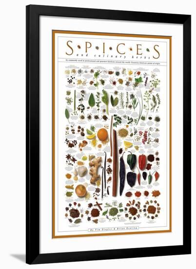 Spices and Culinary Herbs--Framed Art Print