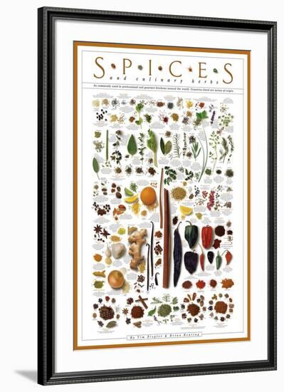 Spices and Culinary Herbs-null-Framed Art Print