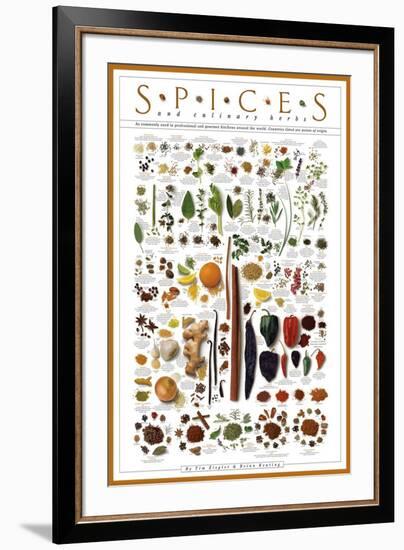 Spices and Culinary Herbs-null-Framed Art Print