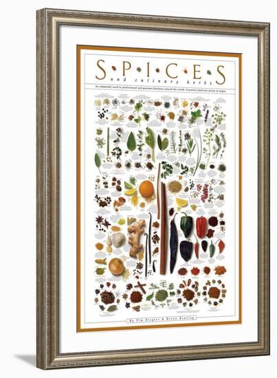 Spices and Culinary Herbs-null-Framed Art Print