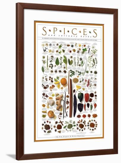 Spices and Culinary Herbs-null-Framed Art Print