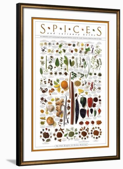 Spices and Culinary Herbs-null-Framed Art Print