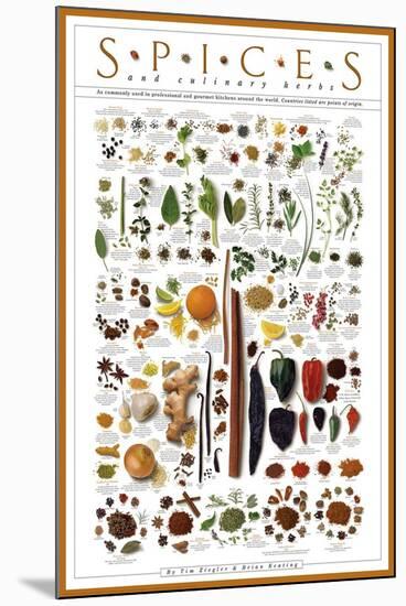 Spices and Culinary Herbs-null-Mounted Art Print