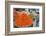 Spices and fruits in a traditional market in Jerusalem, Israel, Middle East-Alexandre Rotenberg-Framed Photographic Print