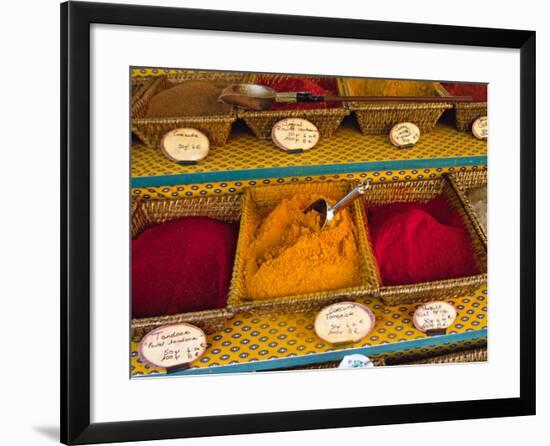 Spices at the Outdoor Market, Nice, France-Charles Sleicher-Framed Photographic Print