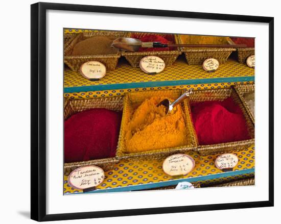 Spices at the Outdoor Market, Nice, France-Charles Sleicher-Framed Photographic Print