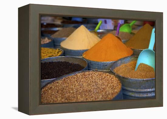 Spices, Fez, Morocco, North Africa, Africa-Neil Farrin-Framed Premier Image Canvas