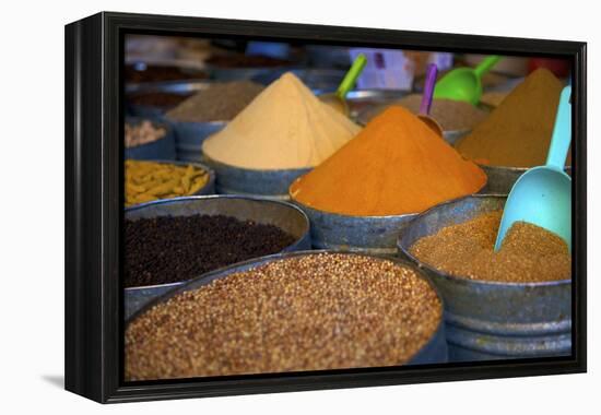 Spices, Fez, Morocco, North Africa, Africa-Neil Farrin-Framed Premier Image Canvas