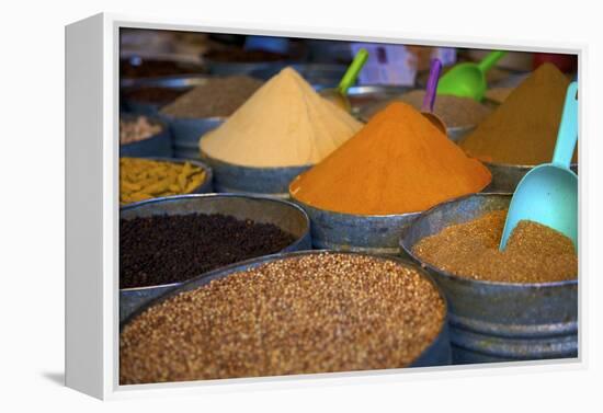 Spices, Fez, Morocco, North Africa, Africa-Neil Farrin-Framed Premier Image Canvas