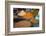 Spices, Fez, Morocco, North Africa, Africa-Neil Farrin-Framed Photographic Print