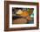 Spices, Fez, Morocco, North Africa, Africa-Neil Farrin-Framed Photographic Print