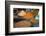 Spices, Fez, Morocco, North Africa, Africa-Neil Farrin-Framed Photographic Print