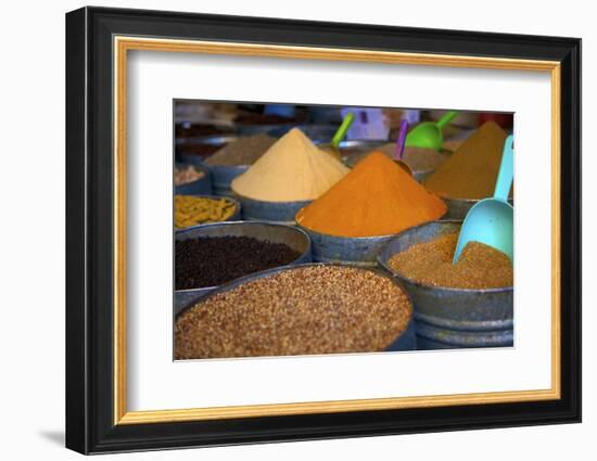 Spices, Fez, Morocco, North Africa, Africa-Neil Farrin-Framed Photographic Print