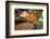 Spices, Fez, Morocco, North Africa, Africa-Neil Farrin-Framed Photographic Print