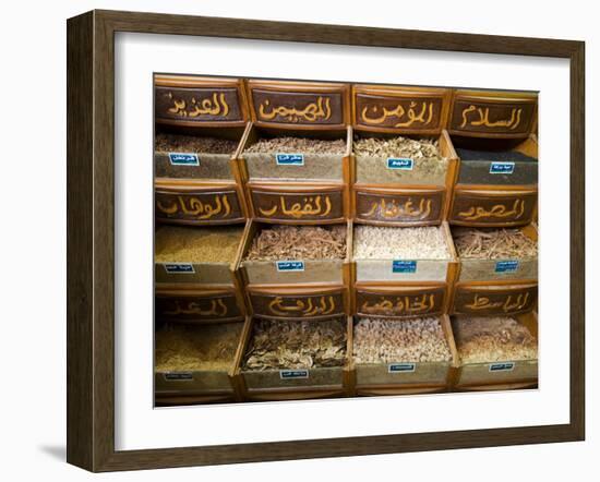 Spices for Sale in the Souq-Al-Atterine Near Khan El-Khalili, Cairo, Egypt-Julian Love-Framed Photographic Print