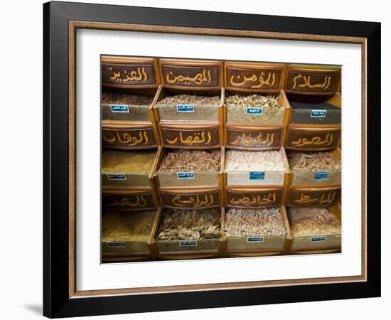 Spices for Sale in the Souq-Al-Atterine Near Khan El-Khalili, Cairo, Egypt-Julian Love-Framed Photographic Print