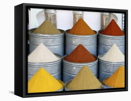 Spices for Sale, Marrakesh, Morocco, North Africa, Africa-Thouvenin Guy-Framed Premier Image Canvas