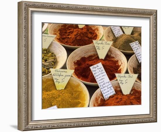 Spices for Sale on Market in the Rue Ste. Claire, Annecy, Haute Savoie, Rhone-Alpes, France-Ruth Tomlinson-Framed Photographic Print