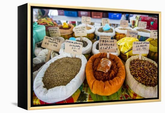 Spices for Sale on the Covered Spice Market, West Indies-Michael Runkel-Framed Premier Image Canvas
