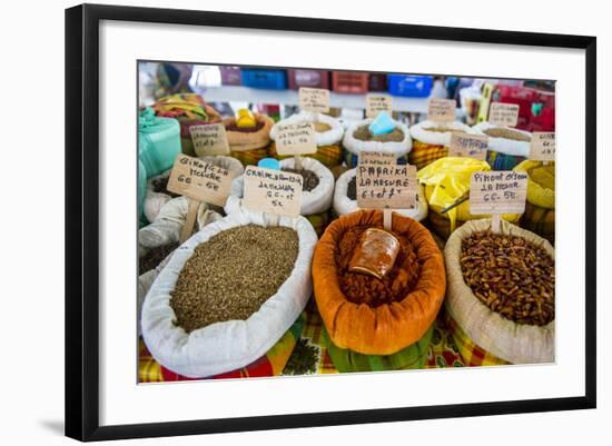 Spices for Sale on the Covered Spice Market, West Indies-Michael Runkel-Framed Photographic Print