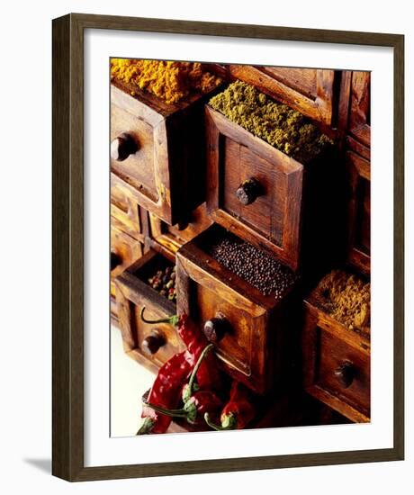 Spices in Drawers-Philip Wilkins-Framed Art Print