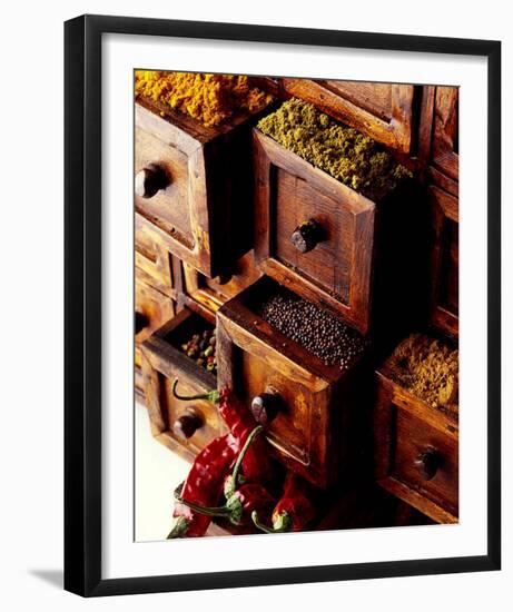 Spices in Drawers-Philip Wilkins-Framed Art Print