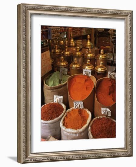 Spices in the Market, Istanbul, Turkey, Europe-Woolfitt Adam-Framed Photographic Print