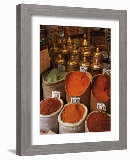 Spices in the Market, Istanbul, Turkey, Europe-Woolfitt Adam-Framed Photographic Print