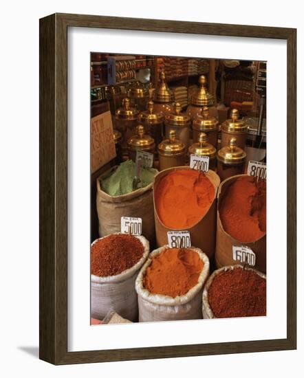 Spices in the Market, Istanbul, Turkey, Europe-Woolfitt Adam-Framed Photographic Print